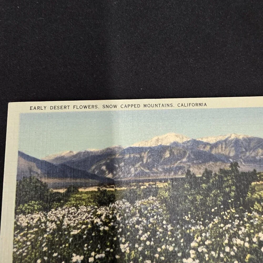 California Scenery Vintage Lot of 6 postcards Flawed Light Smoke Scent